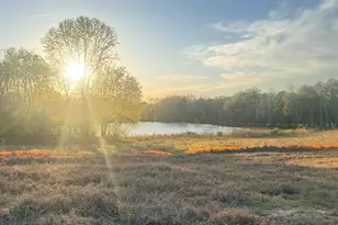 104 Galway Rd, Lillington, NC 27546 - Photo 36