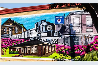 111 Silver Pine Drive #Lot 54, Angier, NC 27501 - Photo 32