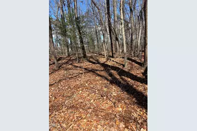 0 Wr Gillespie Road, Dobson, NC 27017 - Photo 28