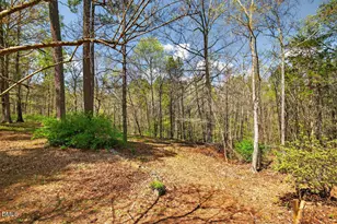 5511 Frenchmans Creek Dr, Durham, NC 27713 - Photo 50