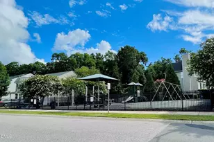 104 Braxton Village Way, Holly Springs, NC 27540 - Photo 46