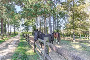 232 Paraggi Ct, Clayton, NC 27527 - Photo 76