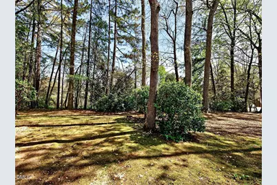 106 Long Shadow Lane, Cary, NC 27518 - Photo 32