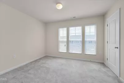 1010 Laceflower Drive, Durham, NC 27713 - Photo 22