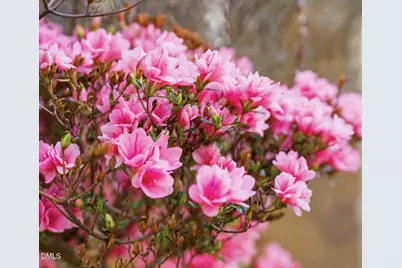 2420 Tyson Street, Raleigh, NC 27612 - Photo 14