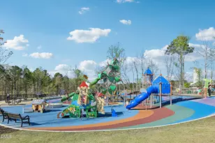 107 Maple Crest Ct, Apex, NC 27502 - Photo 46