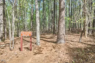 117 Dixie Dr, Chapel Hill, NC 27514 - Photo 72