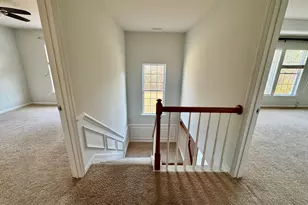 317 Euphoria Cir, Cary, NC 27519 - Photo 12