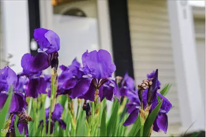 301 Downing Glen Drive, Morrisville, NC 27560 - Photo 4