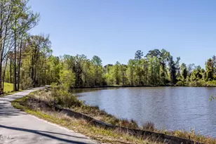 1312 Ringlet Run, Fuquay Varina, NC 27526 - Photo 68