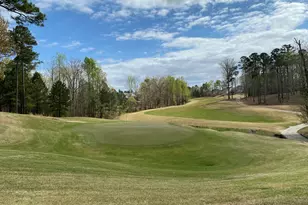 117 Old Wisteria Ct, Holly Springs, NC 27540 - Photo 36