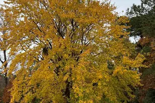 2122 Godwin Lake Rd, Benson, NC 27504 - Photo 32