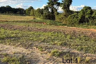 70 Galway Rd, Lillington, NC 27546 - Photo 2
