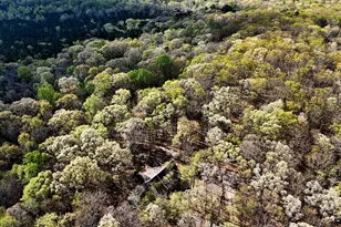 2205 Sanford Ln, Hillsborough, NC 27278 - Photo 44