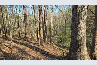 00 Woody, Oxford, NC 27565 - Photo 2