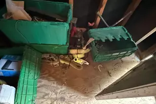 9402 N Nc 87 N, Pittsboro, NC 27312 - Photo 16