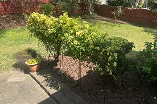 100 Strawthorne Ct, Apex, NC 27502 - Photo 16