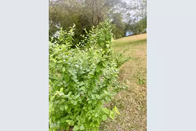 128 E Railroad Street, La Grange, NC 28551 - Photo 46