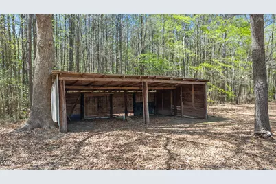 133 Sam Horton Road, Louisburg, NC 27549 - Photo 50