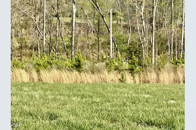 4.62 Acres Jones Road, Hurdle Mills, NC 27541 - Photo 8