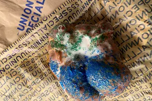530 Banks St, Raleigh, NC 27604 - Photo 46