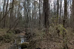 352 Tayside St, Clayton, NC 27520 - Photo 36