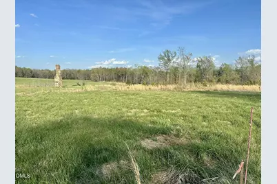 7.28 Acres Jones Road, Hurdle Mills, NC 27541 - Photo 2