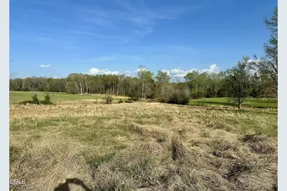 7.28 Acres Jones Road, Hurdle Mills, NC 27541 - Photo 8