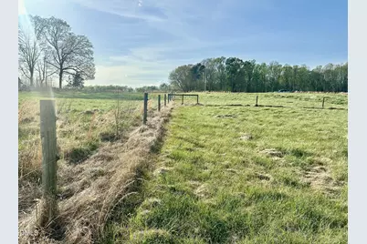 7.28 Acres Jones Road, Hurdle Mills, NC 27541 - Photo 4