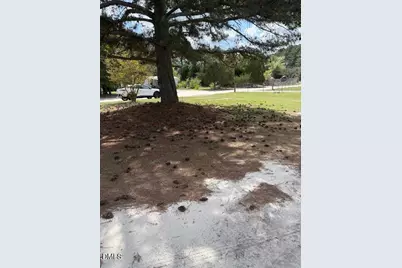 180 Dusty Drive, Candor, NC 27229 - Photo 2