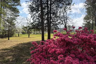 5702 Old Greensboro Rd, Chapel Hill, NC 27516 - Photo 2
