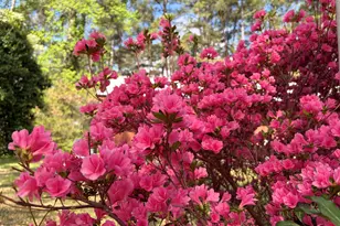 5702 Old Greensboro Rd, Chapel Hill, NC 27516 - Photo 42