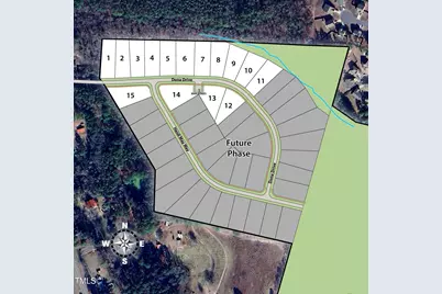 243 Dona Drive, Carthage, NC 28327 - Photo 32