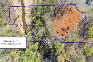 2645 Cedar Top Ct, Snow Camp, NC 27349 - Photo 1