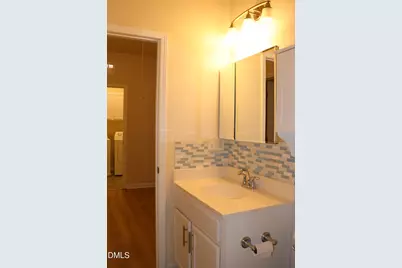 332 River Pine Drive, Morrisville, NC 27560 - Photo 28