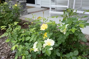 114 Colson Ridge Dr, Clayton, NC 27520 - Photo 54