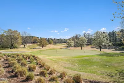 97514 Franklin Ridge, Chapel Hill, NC 27517 - Photo 48