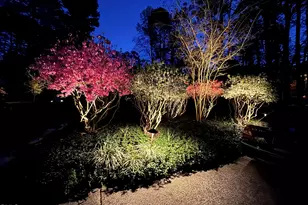 5503 Falkirk Dr, Durham, NC 27712 - Photo 56