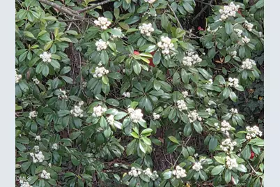 2716 Rue Sans Famille, Raleigh, NC 27607 - Photo 36