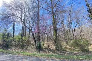 109 Colchester Ave, Siler City, NC 27344 - Photo 1