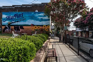 1029 Grey Flint Pl, Mebane, NC 27302 - Photo 22