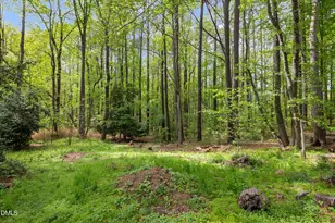 3404 Surry Hill Ln, Apex, NC 27539 - Photo 32