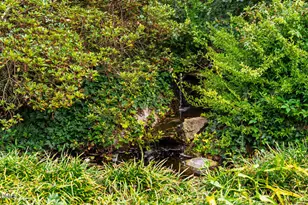 184 Lystra Estates Dr, Chapel Hill, NC 27517 - Photo 74