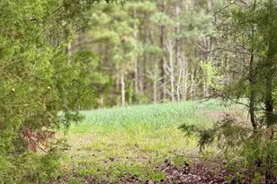 12301 Nc Hwy 86 S, Prospect Hill, NC 27314 - Photo 1