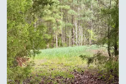 12301 Nc Highway 86 S, Prospect Hill, NC 27314 - Photo 4