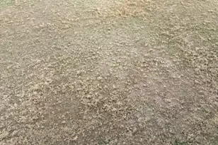 2207 Grants Pass Station, Apex, NC 27502 - Photo 24