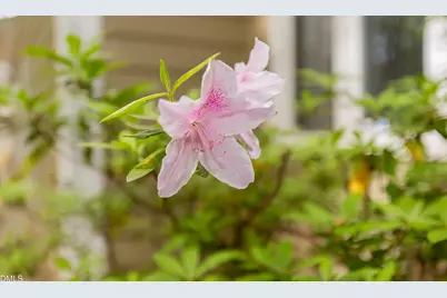 4314 Pin Oak Drive, Durham, NC 27707 - Photo 44