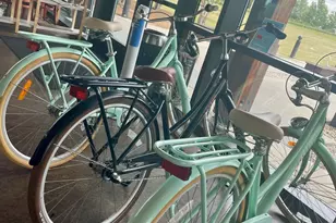 2438 Whitewing Ln, Wendell, NC 27591 - Photo 4