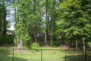 121 Aspen Cir, Clayton, NC 27520 - Photo 30