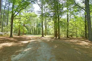 4319 Pearces Rd, Zebulon, NC 27597 - Photo 4